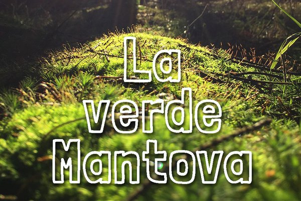 LA VERDE MANTOVA.jpg