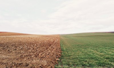 farmland-801817_1920.jpg